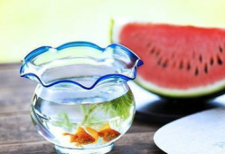 暗黑爆料免费吃瓜,揭秘免费吃瓜背后的秘密